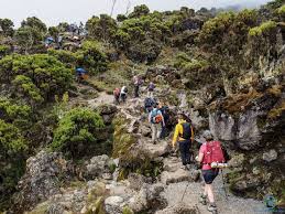 Mount Kilimanjaro is the highest mountain in Africa