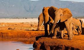 camping safari from Nairobi to Lake Nakuru national park